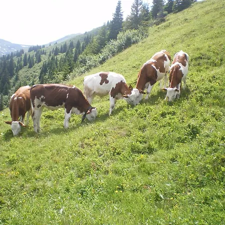 Biobauernhof Aslgut Séjour à la ferme *