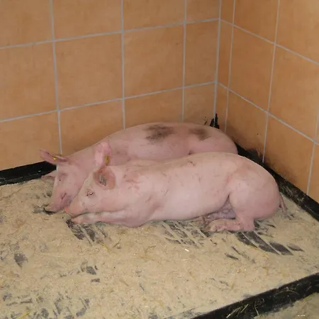 Farmház Biobauernhof Aslgut