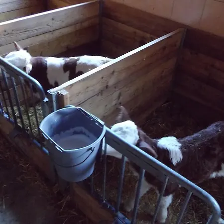 Biobauernhof Aslgut Farmház